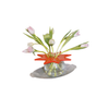 Star Flower Frog  | Ruby Red | Ceramic Lid