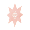 Star Flower Frog  | Pink | Ceramic Lid