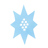 Star Flower Frog  | Sky Blue | Ceramic Lid