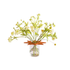 Star Flower Frog  | Terracotta | Ceramic Lid
