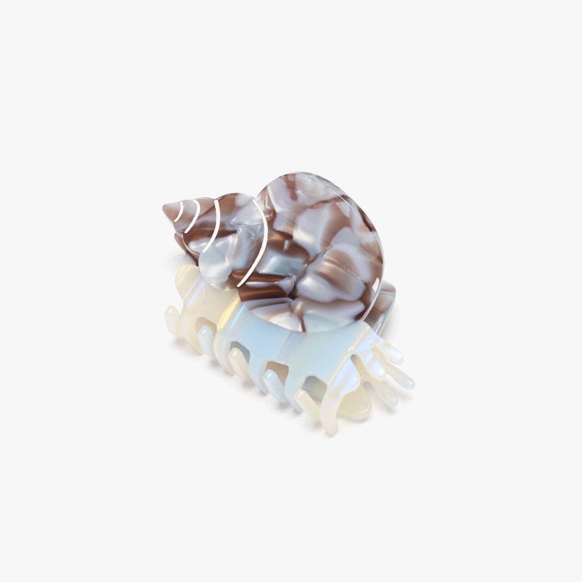 blue whelk claw clip
