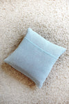 Shrimp Cocktail Pillow