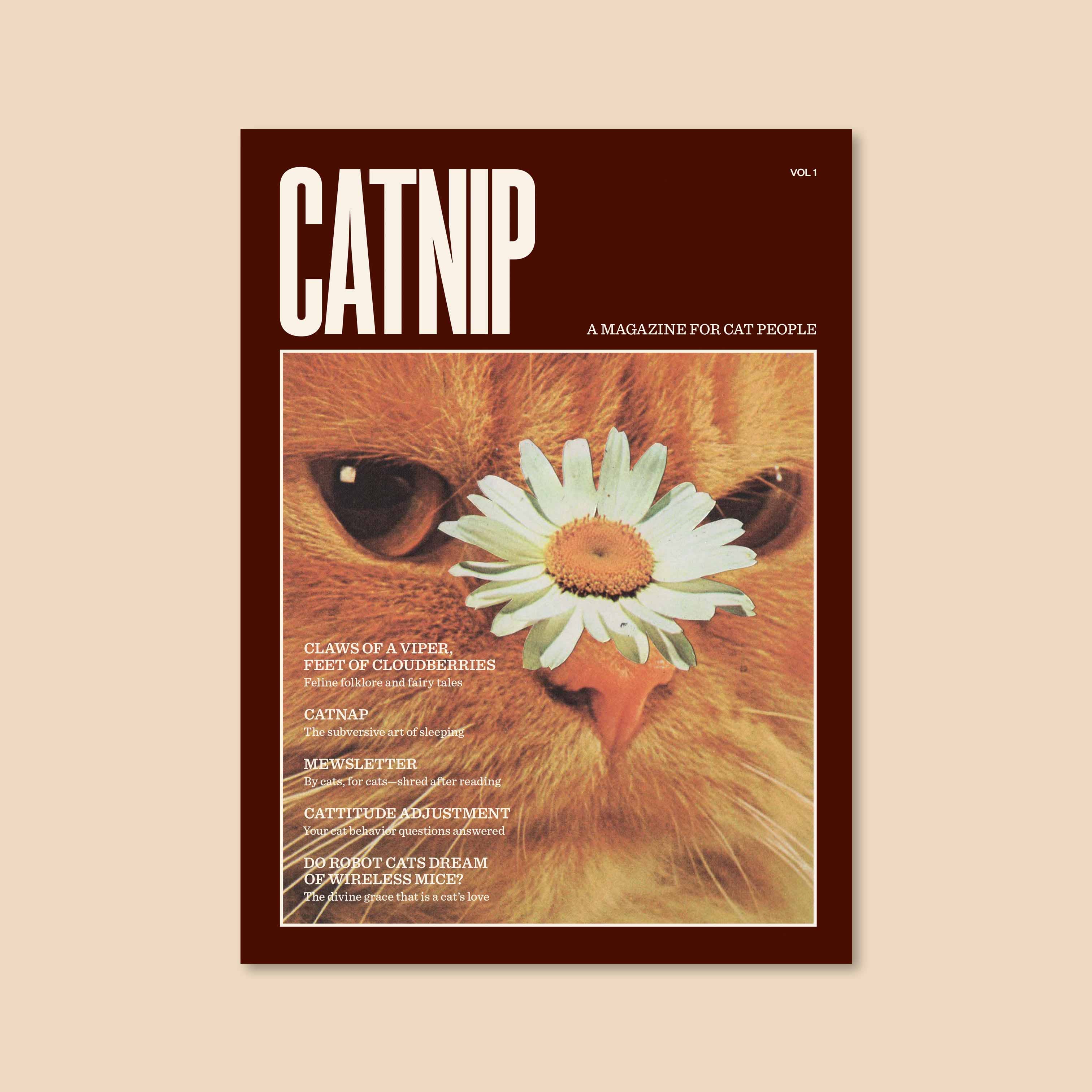 catnip magazine