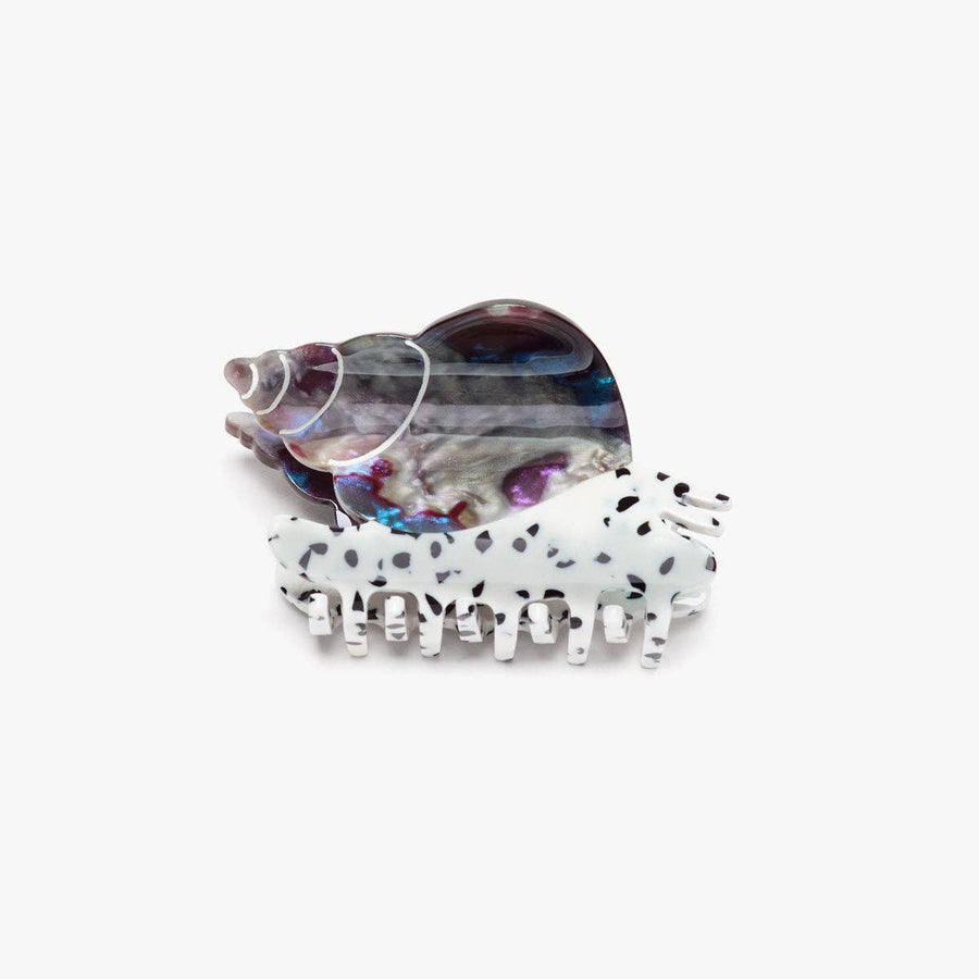 Spotted Whelk Claw - Spotted Sea Snail Acetate Hair Clip