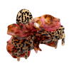 orchid claw in cougar