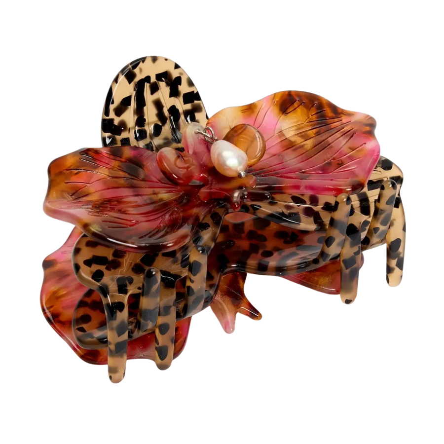 orchid claw in cougar