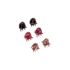 Micro Claws in Terra