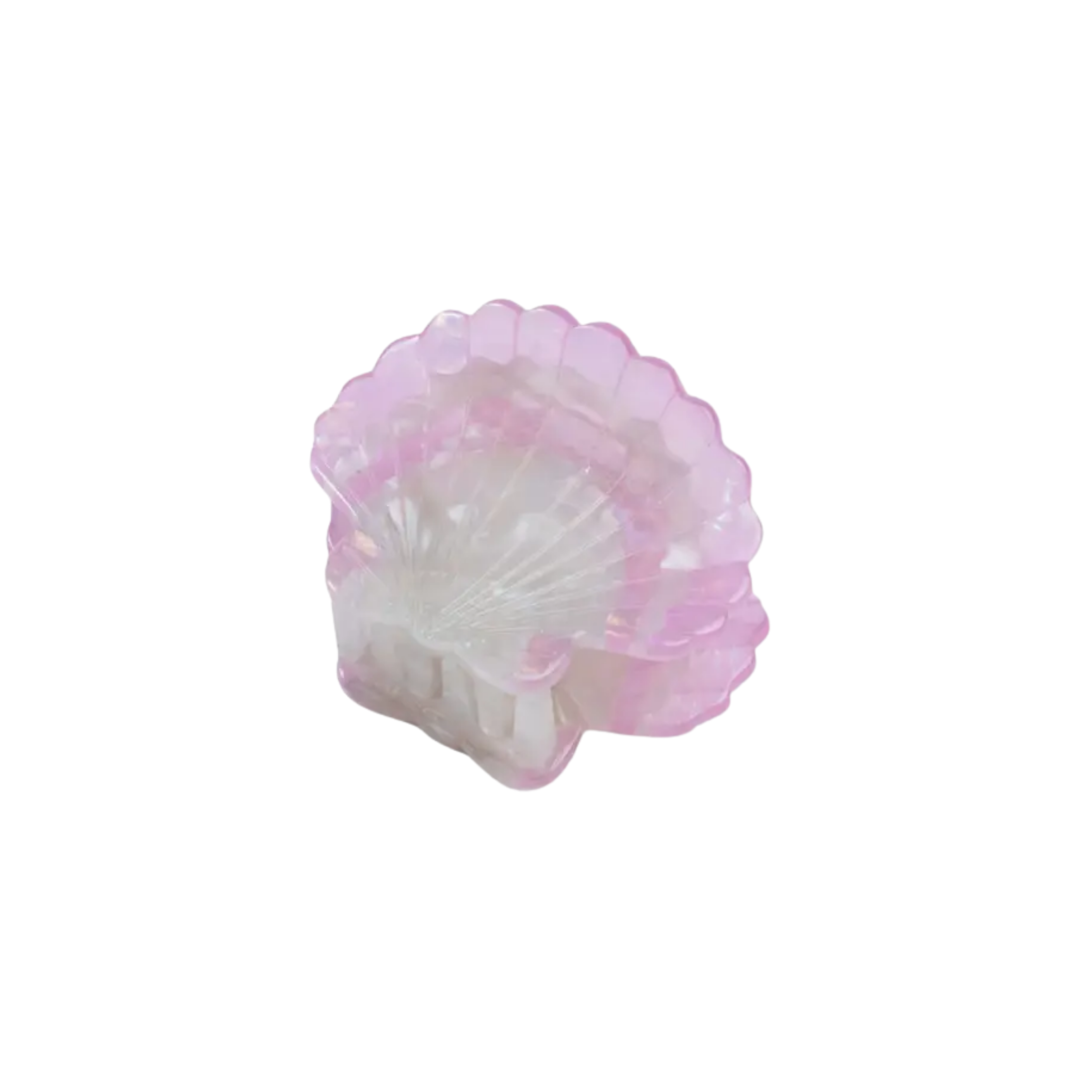 mini scallop shell claw clip