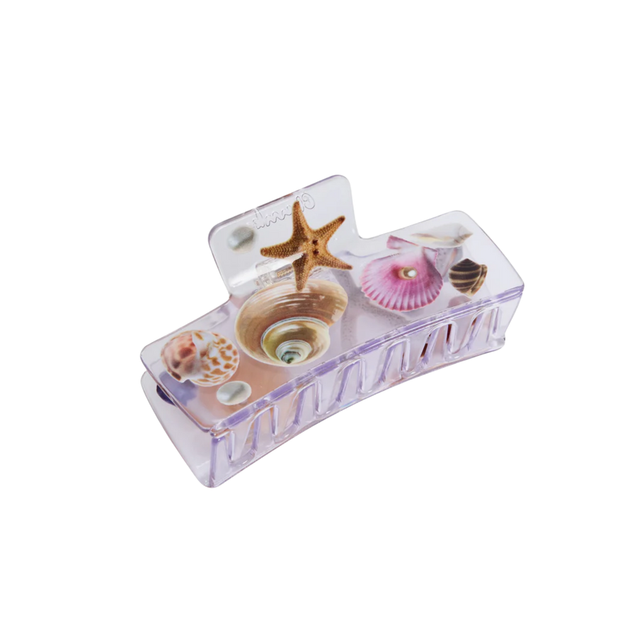 box claw in seashell