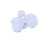 orchid claw